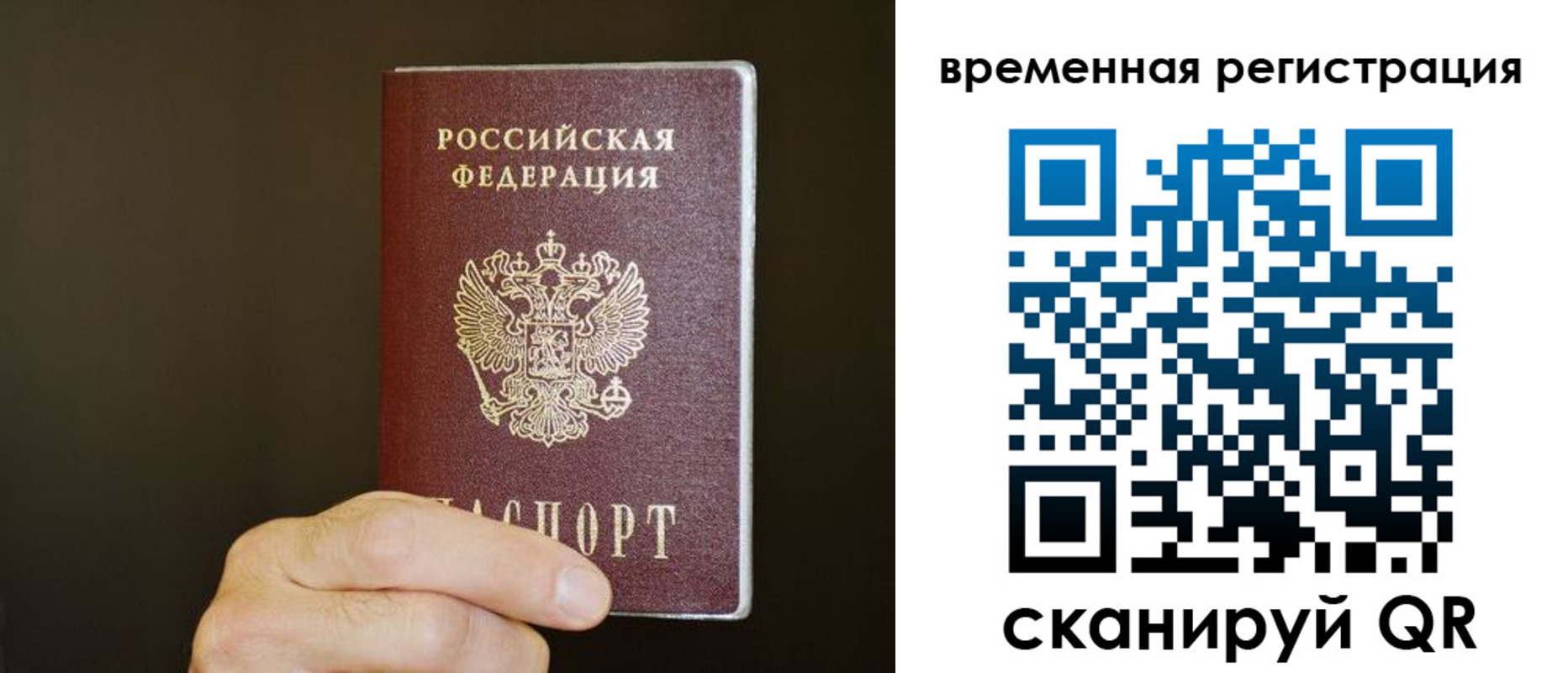 прописка гарантия в Ардоне